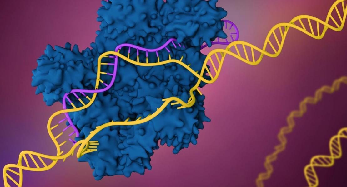 CRISPR-Illustration