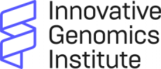 IGI IGI