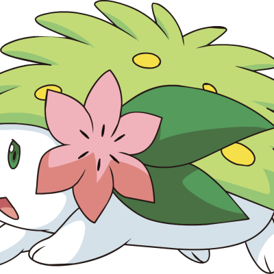 Profile picture for user shaymin84